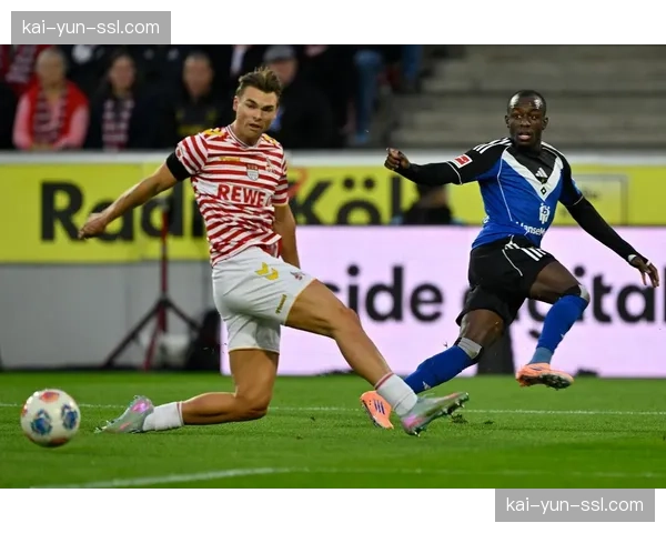 德甲高层谈50+1规则：让海外资本决定足球？宁愿自己玩